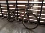 sunn (10).jpg