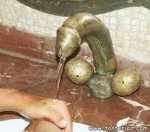 grifo_gracioso.jpg