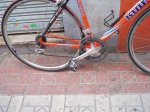 P1010177.jpg