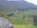 DSC00244.jpg