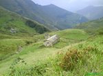 DSC00242.jpg