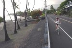 dahon3.jpg