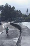 dahon4.jpg