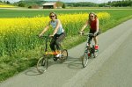 dahon6.jpg