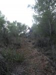 senda 4.jpg