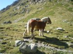 nuria 043.jpg