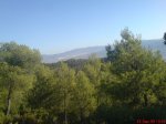 DSC00491.JPG