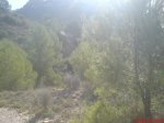 DSC00498.JPG