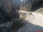 DSC00499.JPG