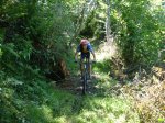 DSC02094.JPG