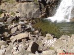 DSC00158.jpg