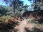 25092009_009.jpg