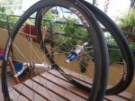 ZIPP4.jpg