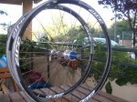 ZIPP1.jpg