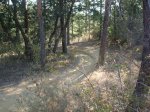 DSCF2861.jpg