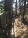 DSCF2856.jpg