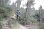 n1390153602_301913_5282994.jpg