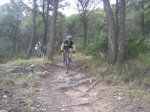 IMG_0319.jpg