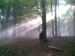 26092009(011).jpg