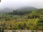 26092009127.jpg