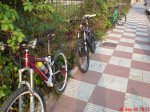 DSC00164.jpg