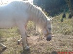 DSC00168.jpg
