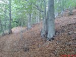 DSC00175.jpg