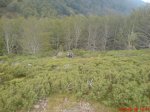 DSC00178.jpg