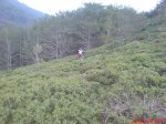 DSC00179.jpg