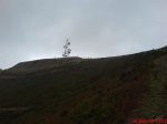 DSC00186.jpg