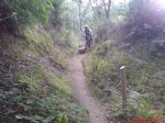 DSC00195.jpg