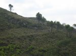 IMG_0043.JPG