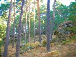 DSCN0275.jpg