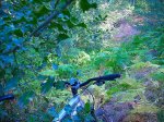 DSCN0280.jpg