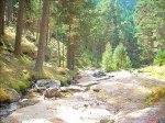 DSCN0283.jpg