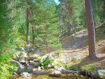 DSCN0284.jpg