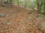 DSC00170.jpg