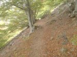 DSC00171.jpg