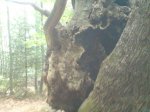 DSC00176.jpg