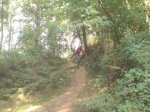 DSC00180.jpg