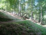 DSC04391.jpg