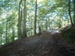 DSC04392.jpg