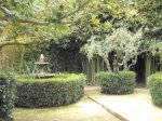 DSCF6185.JPG
