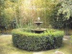 DSCF6187.JPG