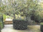 DSCF6188.JPG