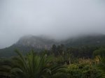 DSCF6197.JPG