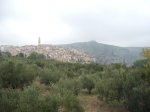 DSCF6205.JPG