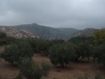 DSCF6206.JPG