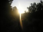 salida 26-09-09 009 [Desktop Resolution].jpg