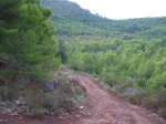 DSC04562.JPG